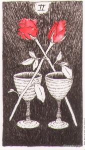 Lá Two of Cups - Wild Unknown Tarot 6