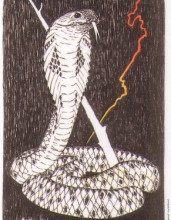 Lá Father of Wands - Wild Unknown Tarot 6