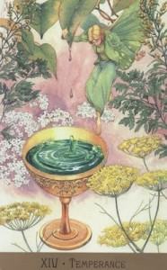 Bộ Bài Victorian Fairy Tarot - Sách Hướng Dẫn 249