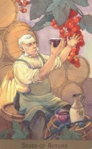 Bộ Bài Victorian Fairy Tarot - Sách Hướng Dẫn 291