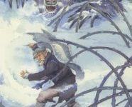 Lá Ten of Winter - Victorian Fairy Tarot 20