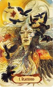 Ý Nghĩa Lá Bài 1. Blackbird Bộ Bài Winged Enchantment Oracle 4