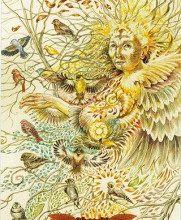 Ý Nghĩa Lá Bài 12. Finch Bộ Bài Winged Enchantment Oracle 11