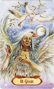 Ý Nghĩa Lá Bài 13. Gouse Bộ Bài Winged Enchantment Oracle 4