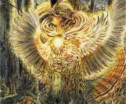 Ý Nghĩa Lá Bài 14. Grouse Bộ Bài Winged Enchantment Oracle 17