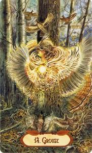 Ý Nghĩa Lá Bài 14. Grouse Bộ Bài Winged Enchantment Oracle 4