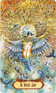 Ý Nghĩa Lá Bài 2. Blue Jay Bộ Bài Winged Enchantment Oracle 4