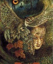 Ý Nghĩa Lá Bài 24. Owl Bộ Bài Winged Enchantment Oracle 17