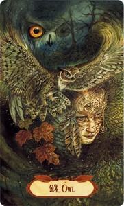 Ý Nghĩa Lá Bài 24. Owl Bộ Bài Winged Enchantment Oracle 4