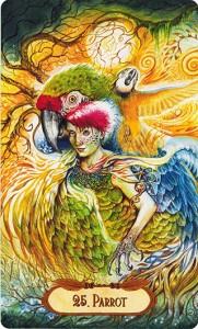 Ý Nghĩa Lá Bài 25. Parrot Bộ Bài Winged Enchantment Oracle 4