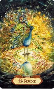 Ý Nghĩa Lá Bài 26. Peacock Bộ Bài Winged Enchantment Oracle 4