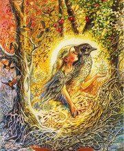 Ý Nghĩa Lá Bài 29. Robin Bộ Bài Winged Enchantment Oracle 6