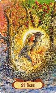 Ý Nghĩa Lá Bài 29. Robin Bộ Bài Winged Enchantment Oracle 4