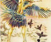 Ý Nghĩa Lá Bài 33. Starling Bộ Bài Winged Enchantment Oracle 21