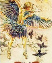Ý Nghĩa Lá Bài 33. Starling Bộ Bài Winged Enchantment Oracle 18