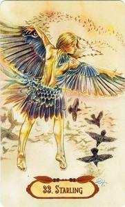 Winged Enchantment Oracle - Sách Hướng Dẫn 150