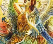 Ý Nghĩa Lá Bài 34. Swallow Bộ Bài Winged Enchantment Oracle 23