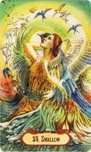 Ý Nghĩa Lá Bài 34. Swallow Bộ Bài Winged Enchantment Oracle 4