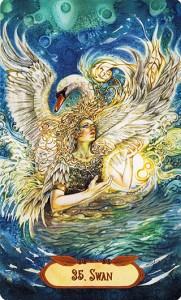Ý Nghĩa Lá Bài 35. Swan Bộ Bài Winged Enchantment Oracle 4