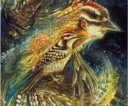 Ý Nghĩa Lá Bài 38. Woodpecker Bộ Bài Winged Enchantment Oracle 17