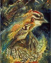 Ý Nghĩa Lá Bài 38. Woodpecker Bộ Bài Winged Enchantment Oracle 4