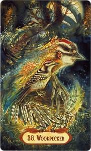 Ý Nghĩa Lá Bài 38. Woodpecker Bộ Bài Winged Enchantment Oracle 4
