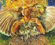 Ý Nghĩa Lá Bài 39. Wren Bộ Bài Winged Enchantment Oracle 18