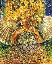 Ý Nghĩa Lá Bài 39. Wren Bộ Bài Winged Enchantment Oracle 15