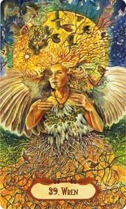 Ý Nghĩa Lá Bài 39. Wren Bộ Bài Winged Enchantment Oracle 4