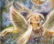 Ý Nghĩa Lá Bài 8. Dove Bộ Bài Winged Enchantment Oracle 3