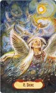 Ý Nghĩa Lá Bài 8. Dove Bộ Bài Winged Enchantment Oracle 4