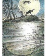 Lá 18. The Moon on Water - Wildwood Tarot 4