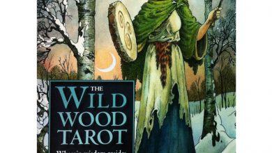 Wildwood Tarot - Sách Hướng Dẫn 4