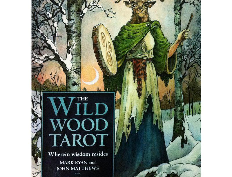 Wildwood Tarot - Sách Hướng Dẫn 1