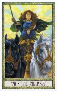 Druidcraft Tarot - Sách Hướng Dẫn 242
