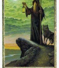Lá IX. The Hermit - Druidcraft Tarot 8