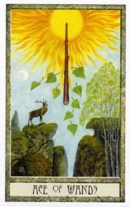 Druidcraft Tarot - Sách Hướng Dẫn 257