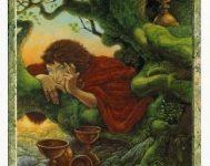Lá Four of Cups - Druidcraft Tarot 17