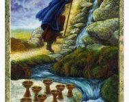 Lá Eight of Cups - Druidcraft Tarot 11