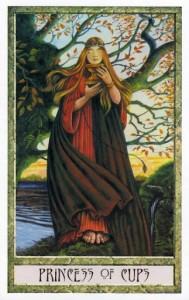 Druidcraft Tarot - Sách Hướng Dẫn 281