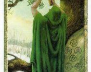 Lá Seven of Pentacles - Druidcraft Tarot 1