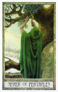 Druidcraft Tarot - Sách Hướng Dẫn 305