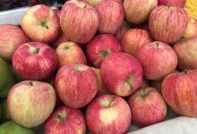 Một quả táo mỗi ngày giúp kiềm hãm các nếp nhăn 17