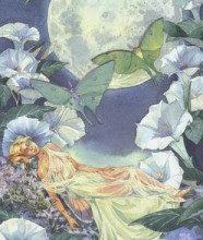 Lá 18. The Moon - Victorian Fairy Tarot 21