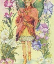 Lá Herald of Summer - Victorian Fairy Tarot 17