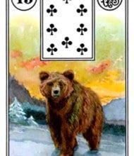 Kết Hợp Lá Bài Lenormand Bear (15) 9