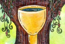 Ý Nghĩa Lá King of Cups - Tarot of Trees 8