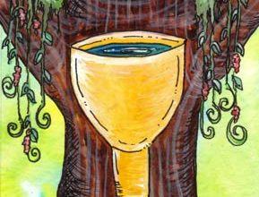 Ý Nghĩa Lá King of Cups - Tarot of Trees 17