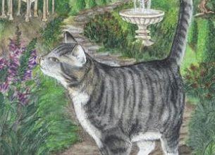 The Cat - Mystical Cats Tarot 17