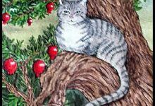 The Hermit - Mystical Cats Tarot 16
